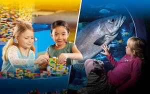 Aquadom & Sea Life: Tickets