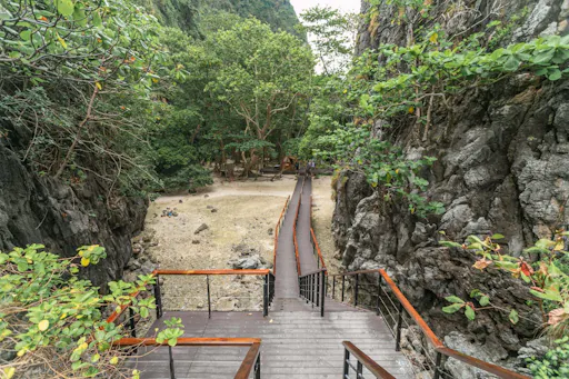 Phi Phi Don, Maya Bay & Maiton Island by Speed Catamaran