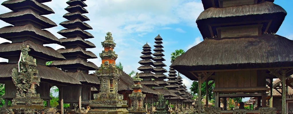 Tour privado de día completo por los tres templos