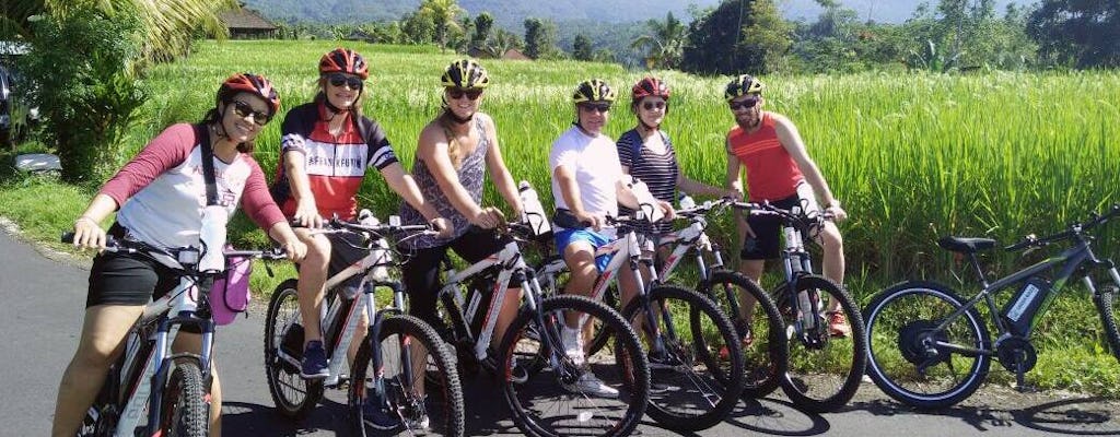 Jatiluwih E-Bike Tour