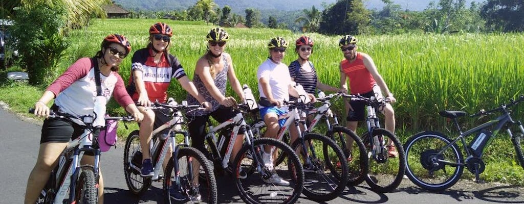 Jatiluwih E-Bike Tour