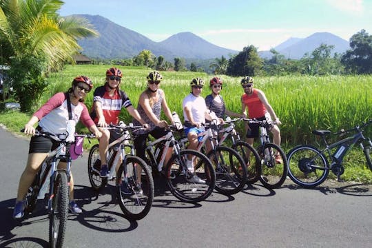 Jatiluwih E-Bike Tour