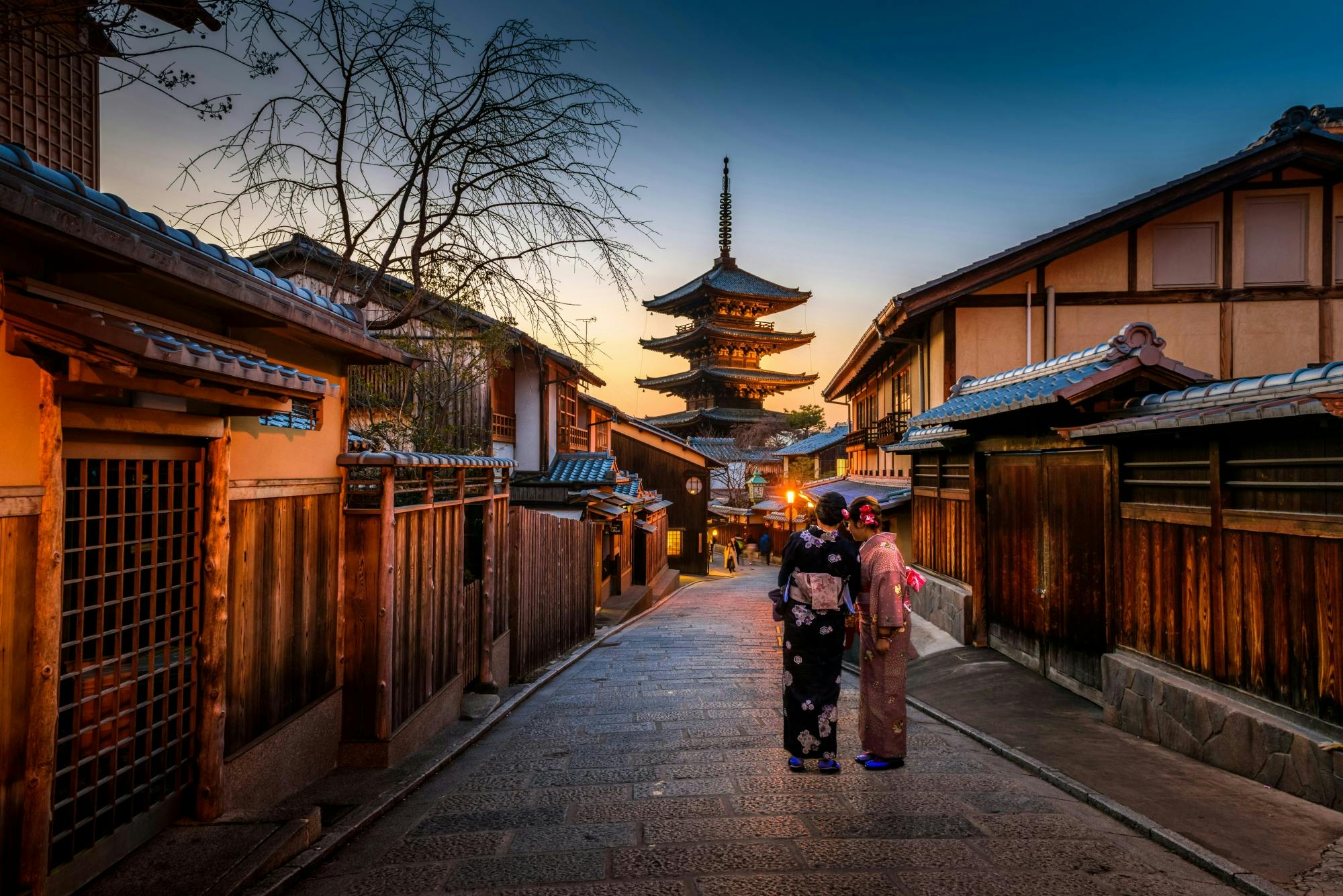 Tour privato personalizzato di un giorno a Kyoto da Osaka