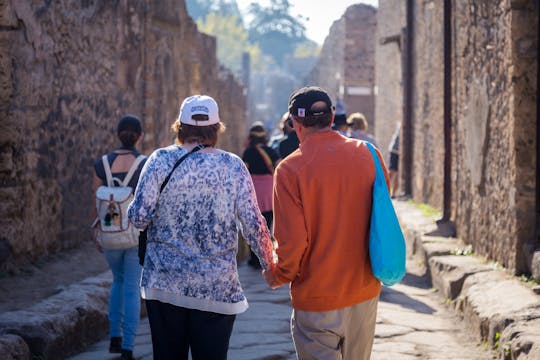 Pompeii Guided Tour with Skip-the-Line Tickets