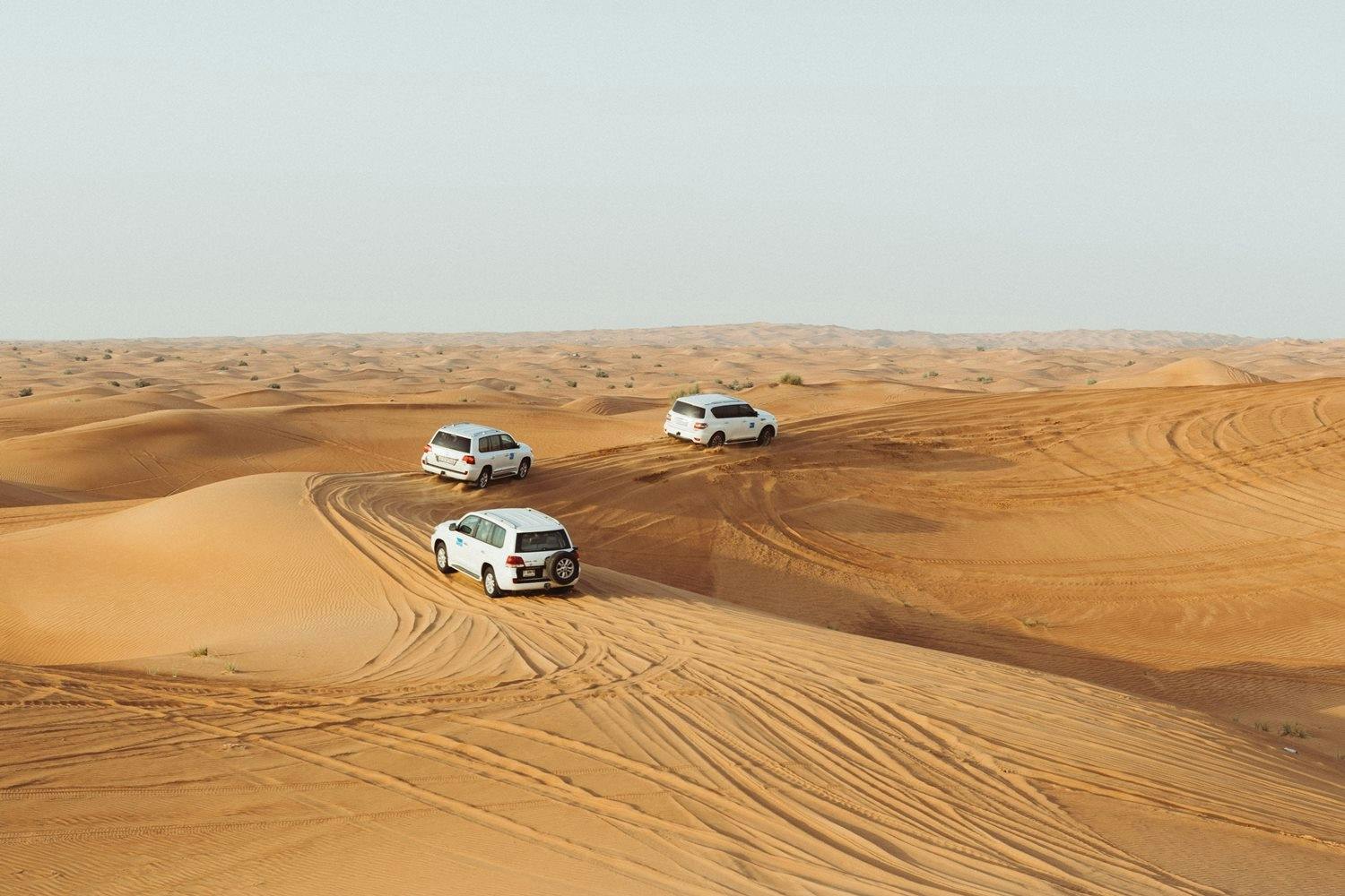 Safari en 4x4 por el desierto de Dubái con actividades y cena con barbacoa