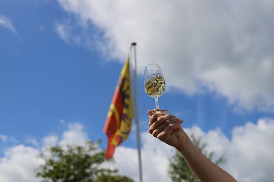 Tour panorámico por los viñedos de Ginebra en un tuk tuk eléctrico y degustación