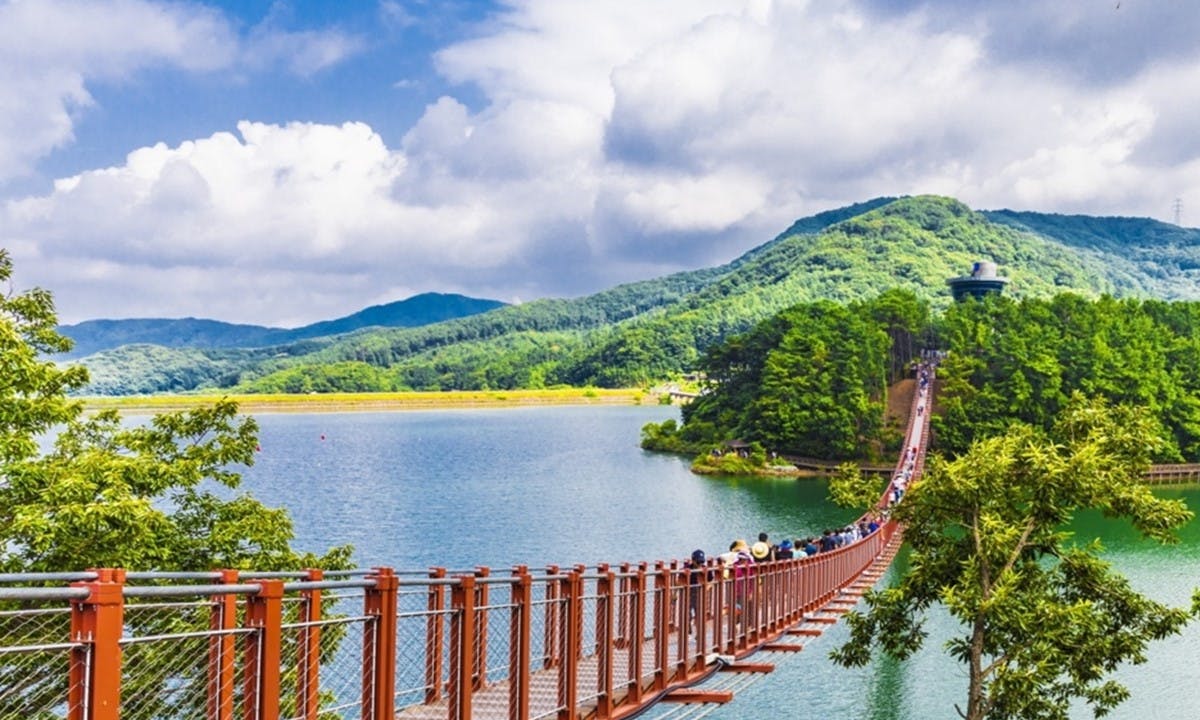 Excursão pela DMZ e pela Ponte Suspensa do Lago Majang saindo de Seul