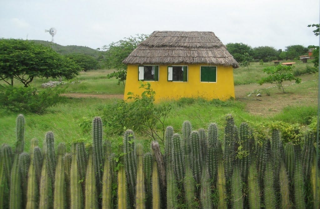 Rincon village guided tour