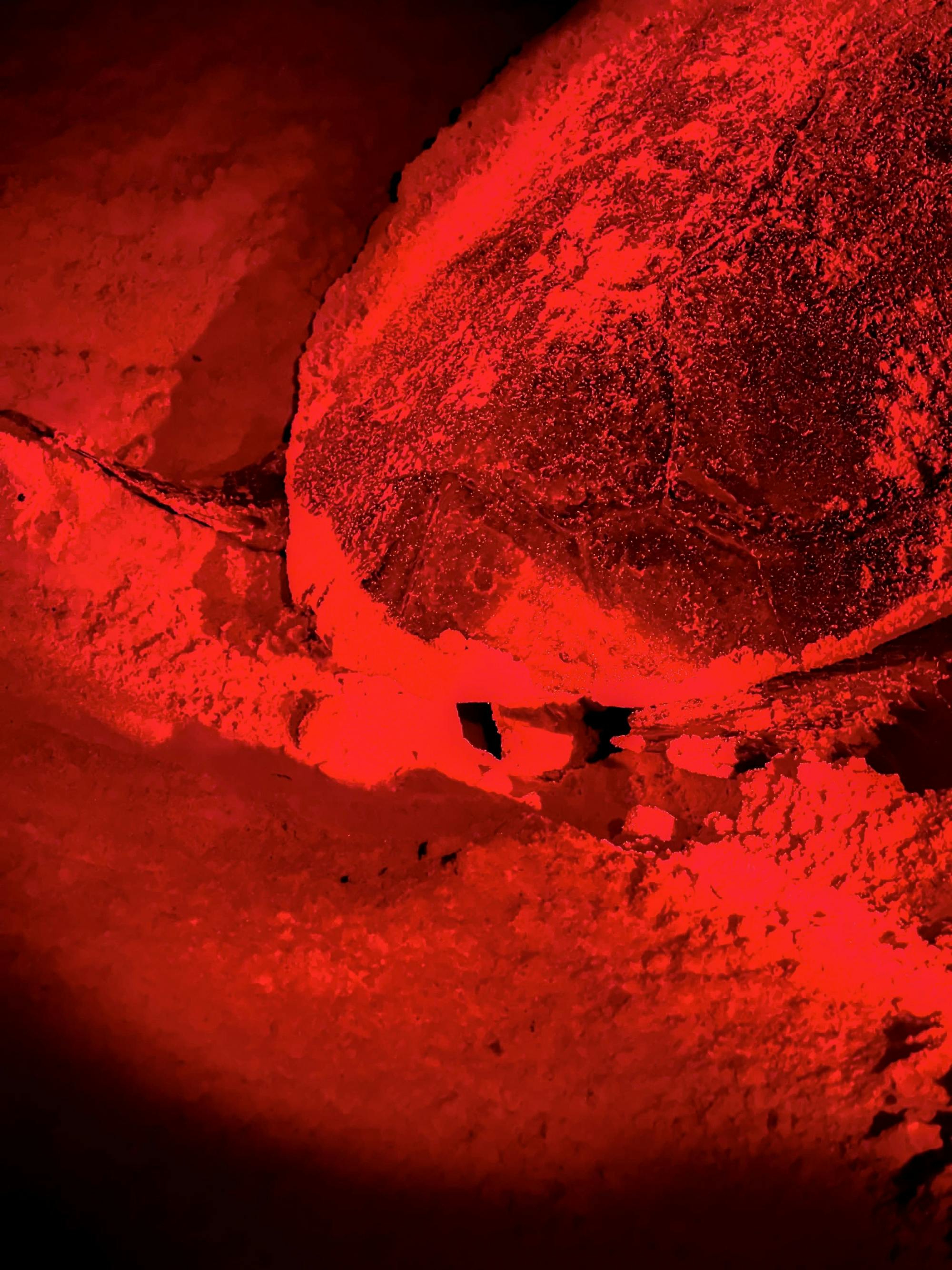 Turtle nesting night experience in Boa Vista