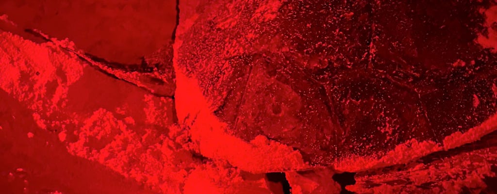 Turtle nesting night experience in Boa Vista