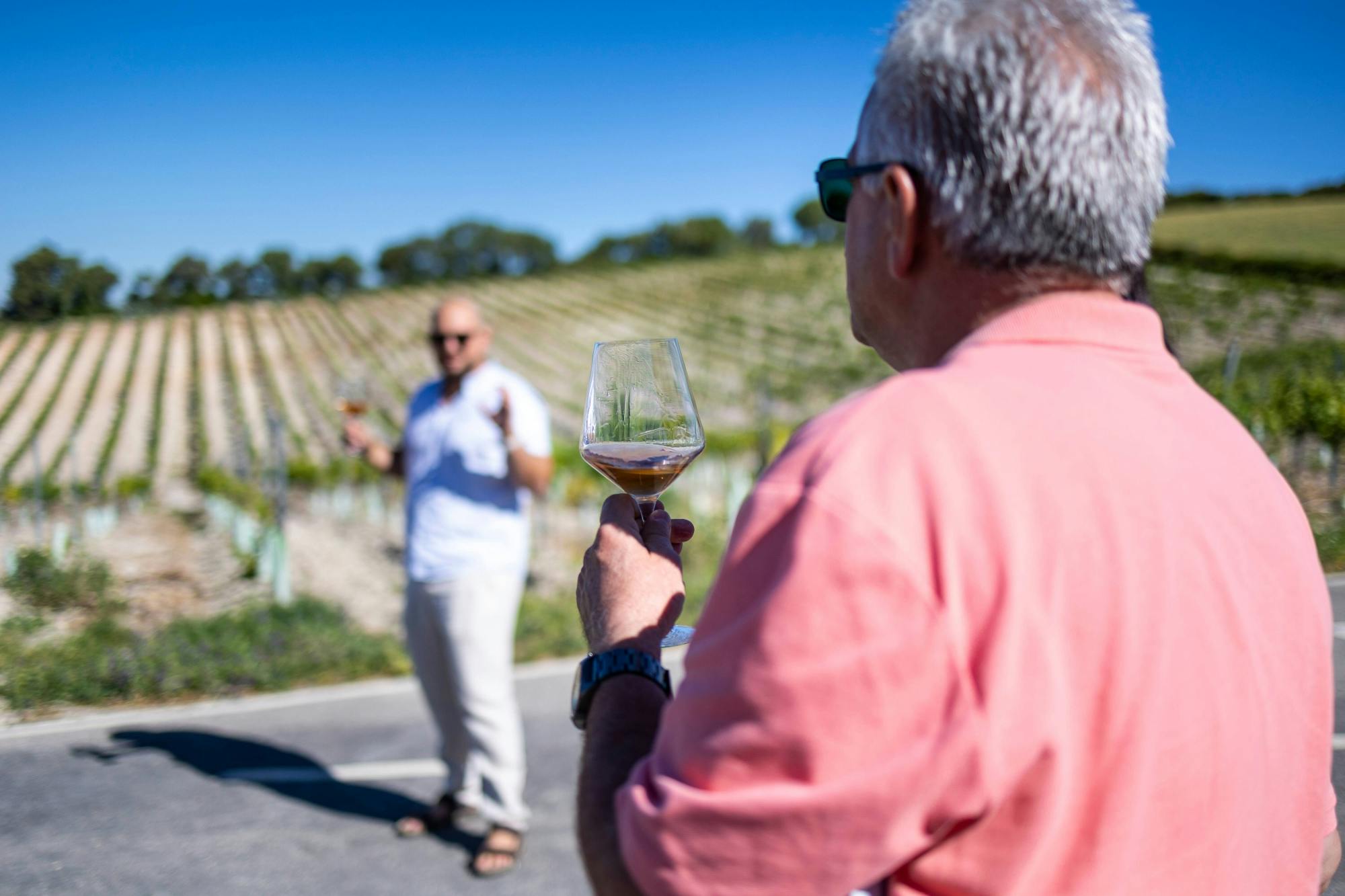 Nat Geo Day Tour: Bodegas Campestral, a Sustainable Vineyard Experience