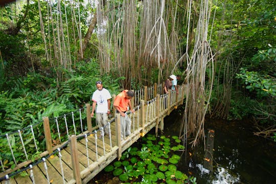 Gran casa de Greenwood y cuevas de la Gruta Verde