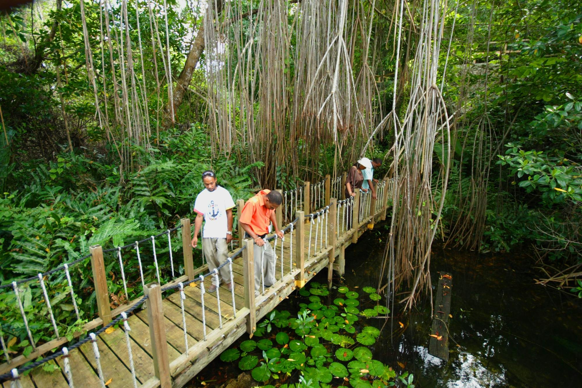 Greenwood Great House e cavernas da Gruta Verde