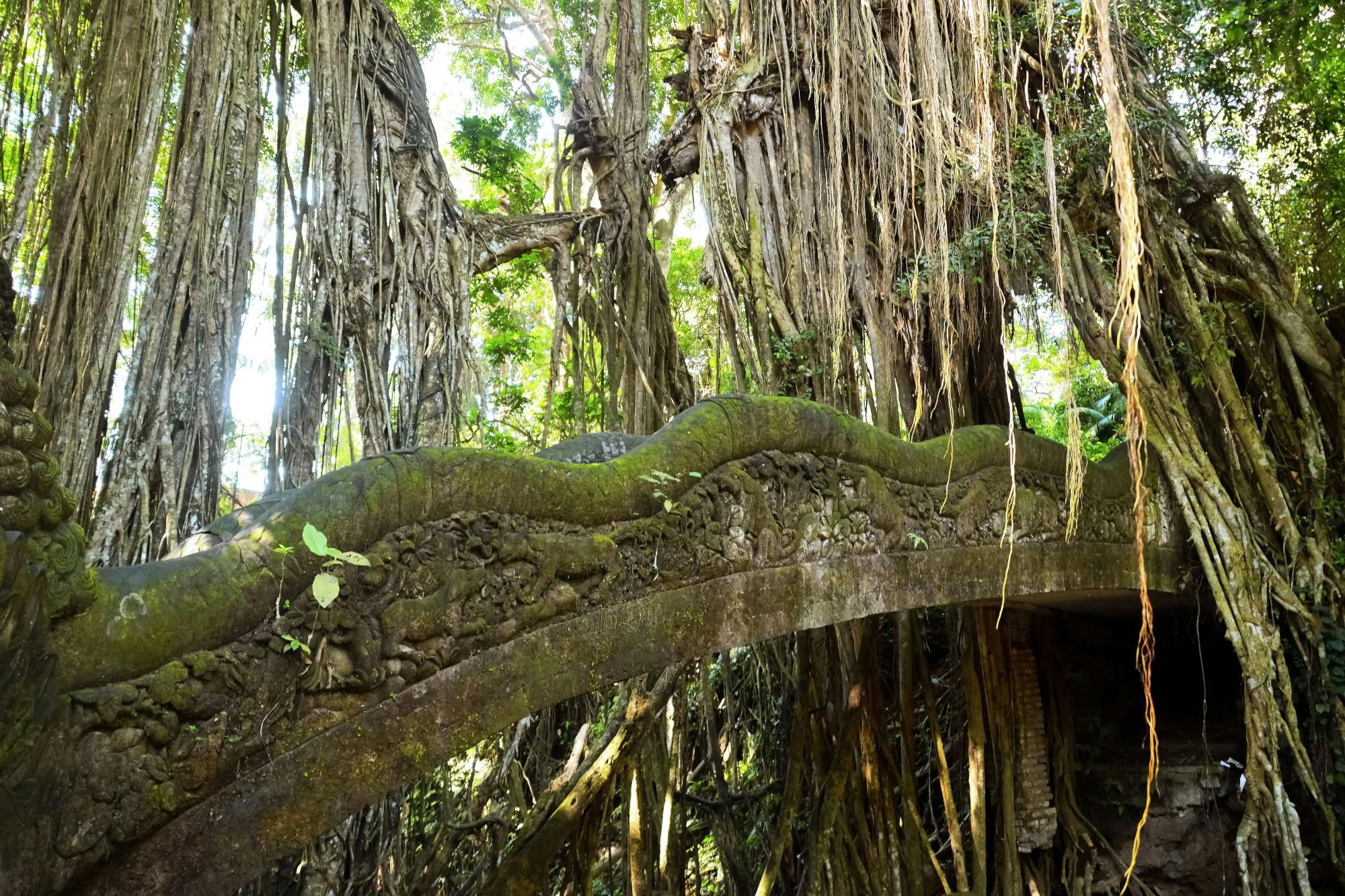 Tour privato dell'arte di Ubud