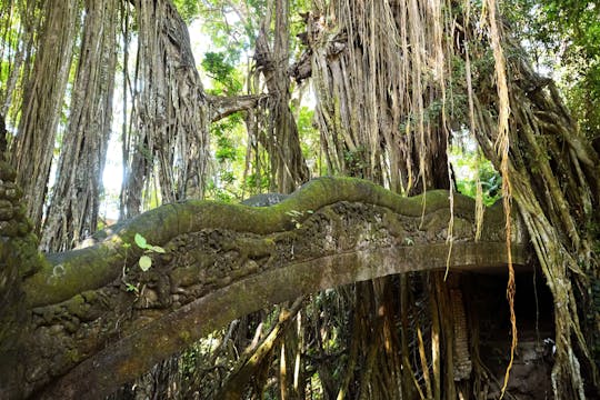 Tour privato dell'arte di Ubud