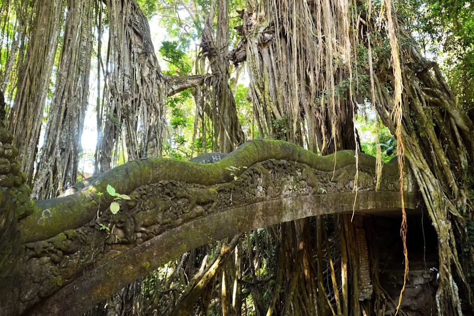 Bali Museums, Art Galleries & Cultural Collections Guide