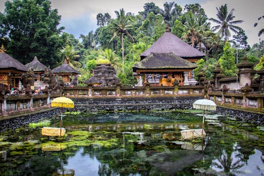 Tour privado de engendramiento de Ubud y Tampak