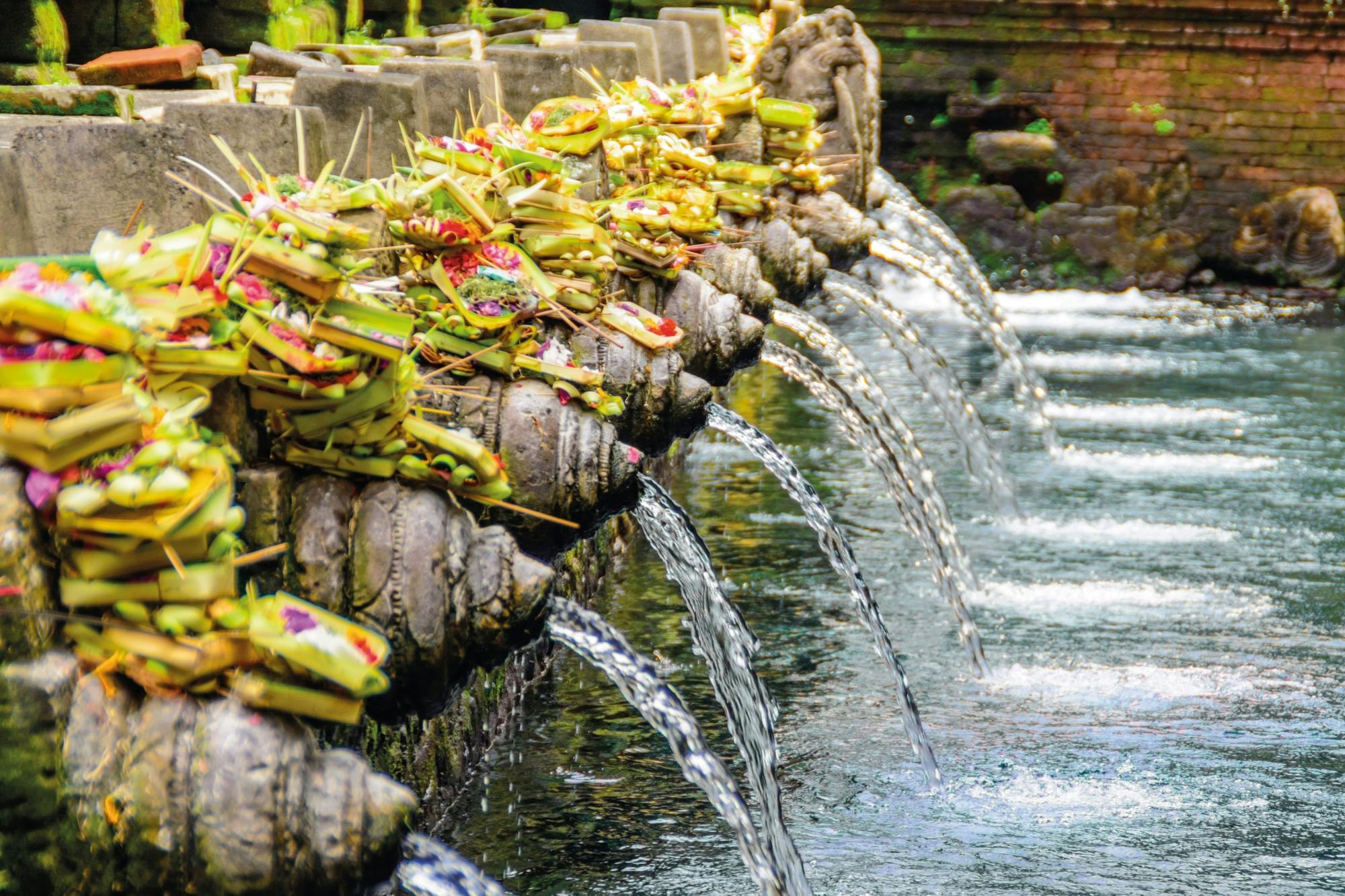 Ubud and Tampak Siring Private Tour