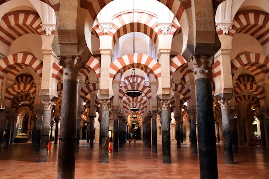 Guided visit of Córdoba in depth