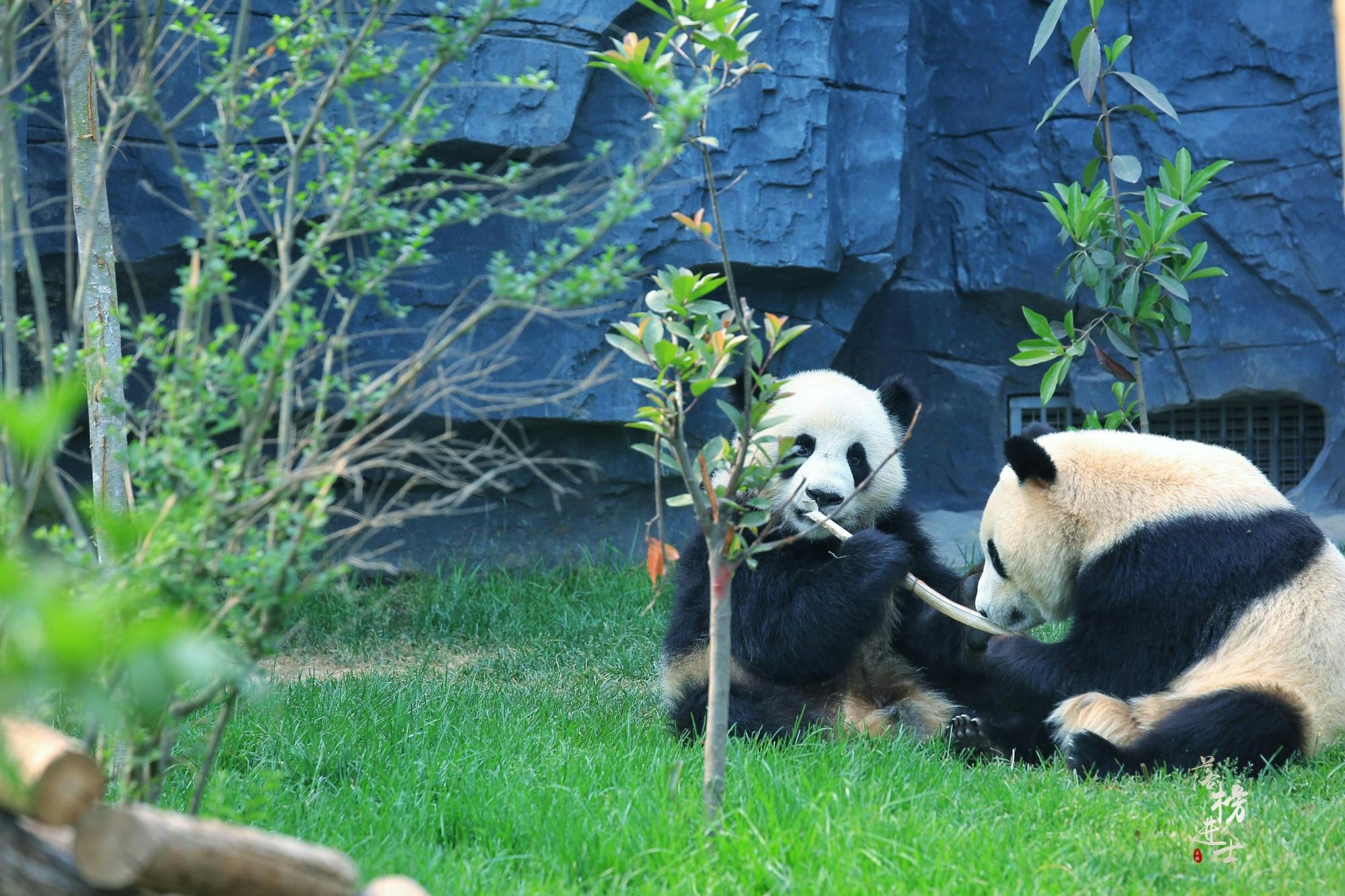 Private 3-tägige Führung durch Peking mit optionalen Attraktionen