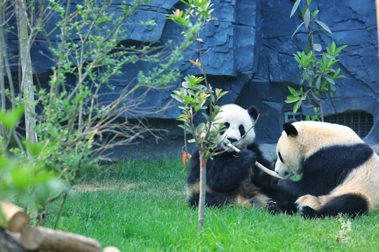 Beijing 3 Day Private Guided Tour with Optional Attractions