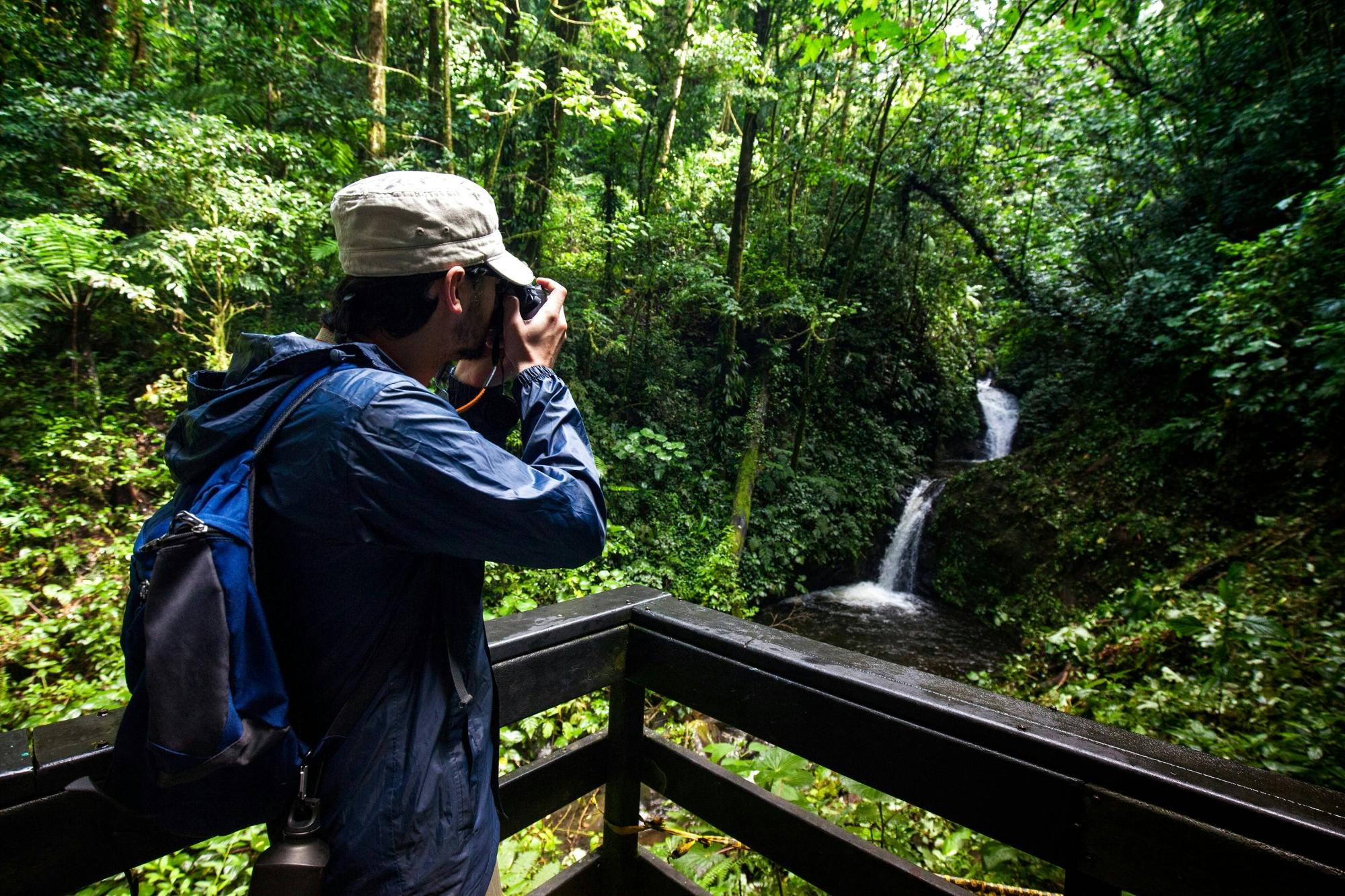 Selvatura Park Zipline, Hanging Bridges & Sloth Sanctuary with Transfer