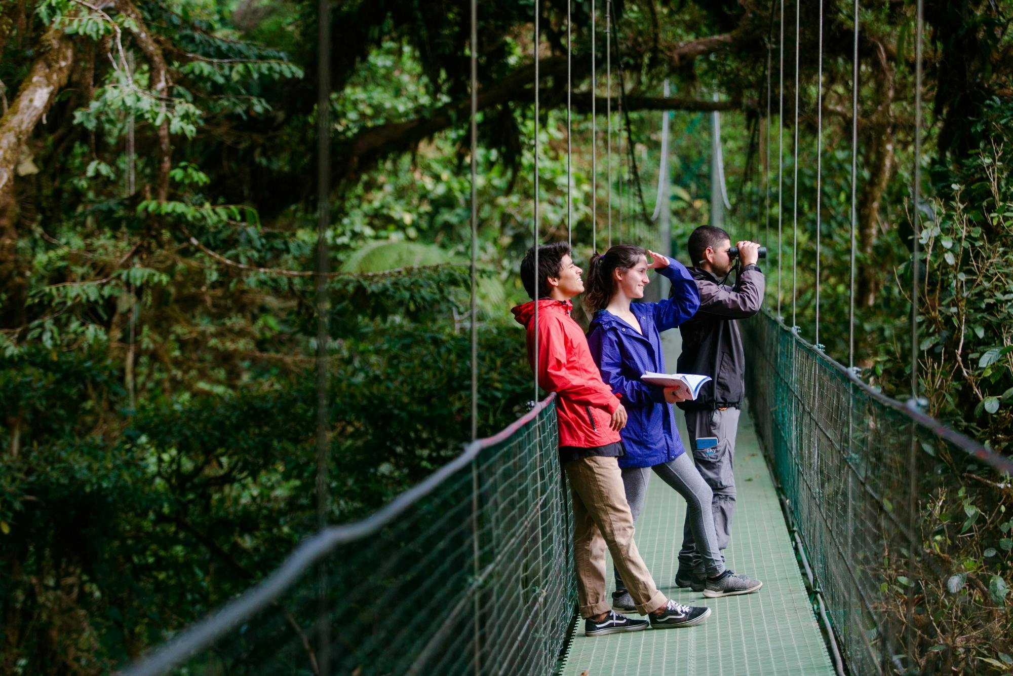 Selvatura Park Zipline, Hanging Bridges & Sloth Sanctuary with Transfer