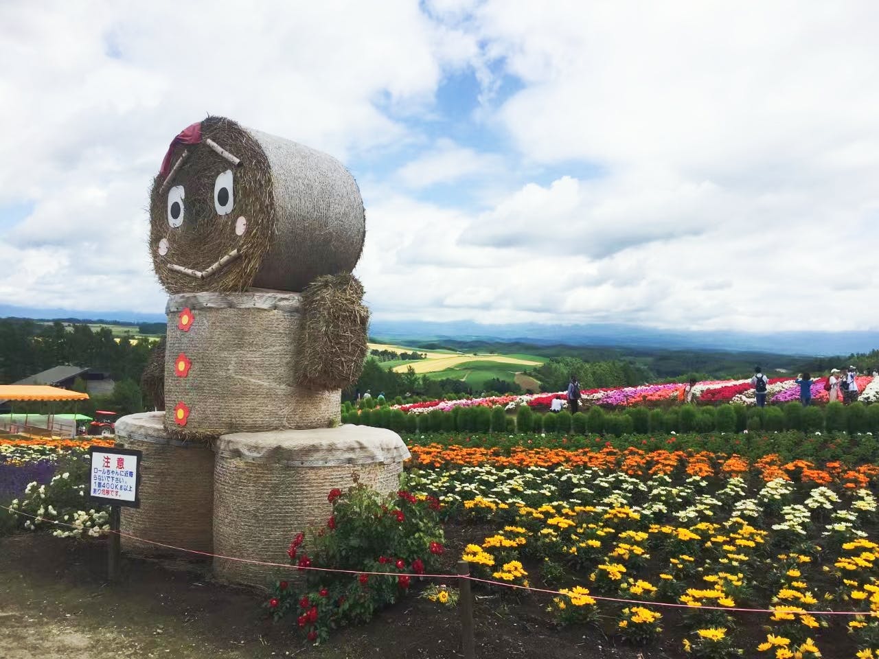 1-Day Guided Tour of Hokkaido's Natural Splendours