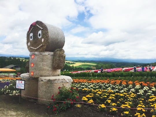 Excursão guiada de 1 dia pelos esplendores naturais de Hokkaido