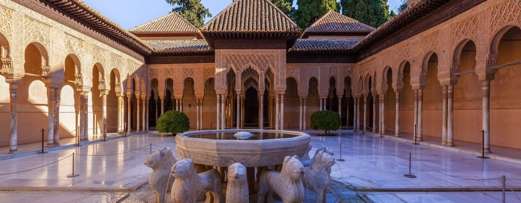 Alhambra 3-hour Guided Tour including Nasrid Palaces