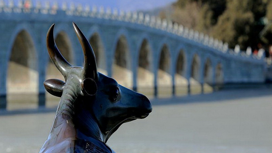 Beijing intelligence overview