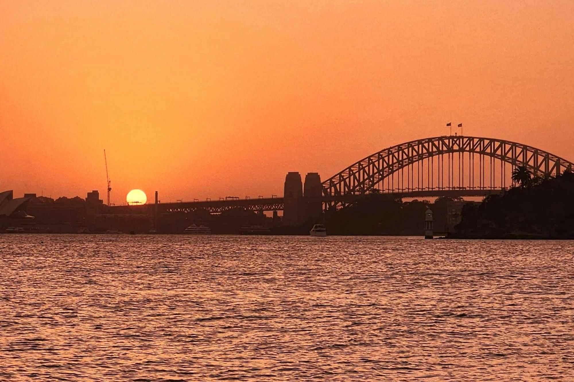 Crociera al tramonto nel porto di Sydney con drink omaggio