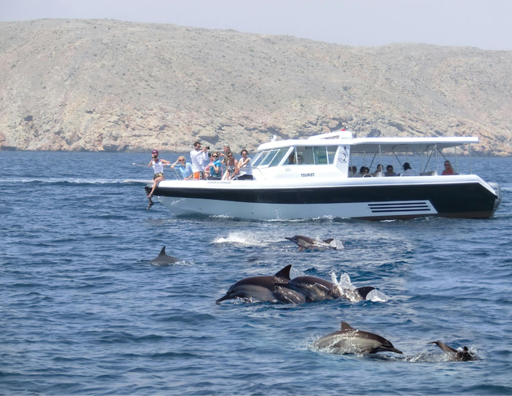 Passeio de observação de golfinhos em Salalah