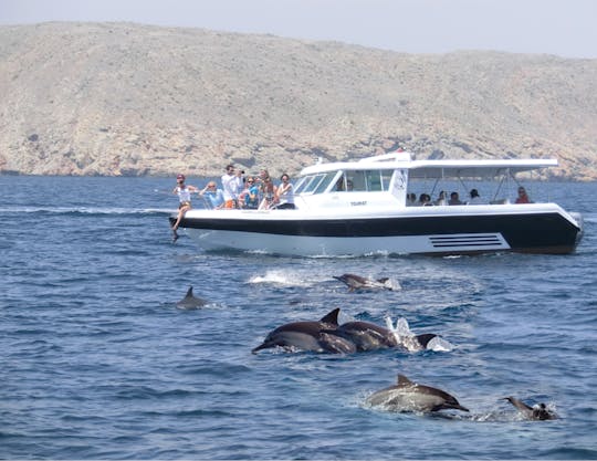 Excursión de avistamiento de delfines en Salalah