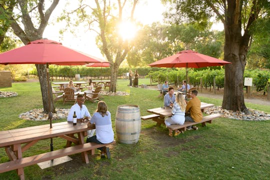 Fuga di mezza giornata in campagna con degustazioni di vini da San Francisco