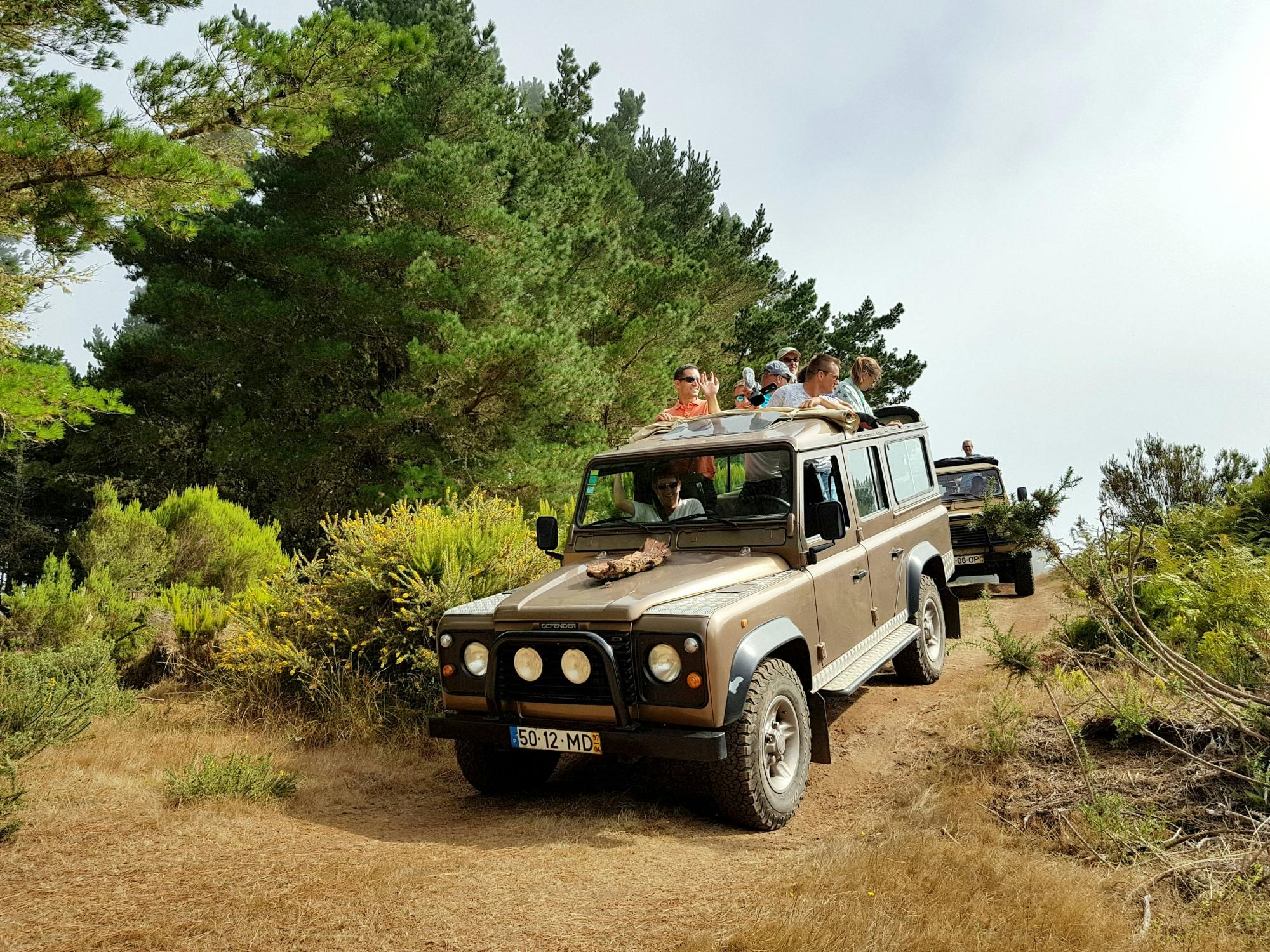 Tour sostenible por el este de Madeira en 4x4 con almuerzo