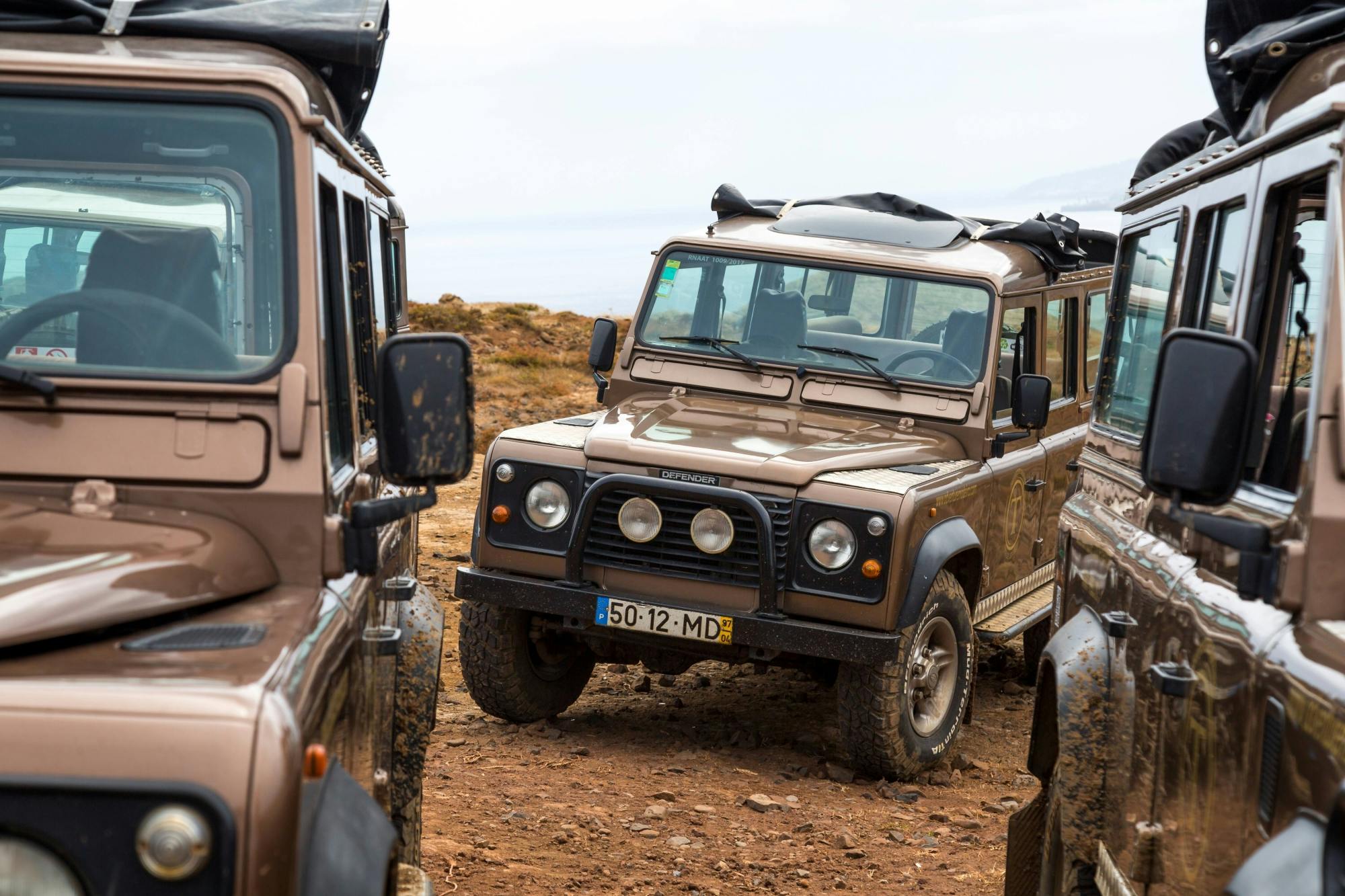 Eastern Madeira Sustainable Tour in a 4x4 with Lunch