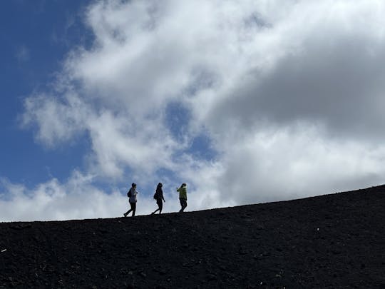 Caminata de día completo por el Monte Etna desde Taormina o Giardini Naxos con almuerzo