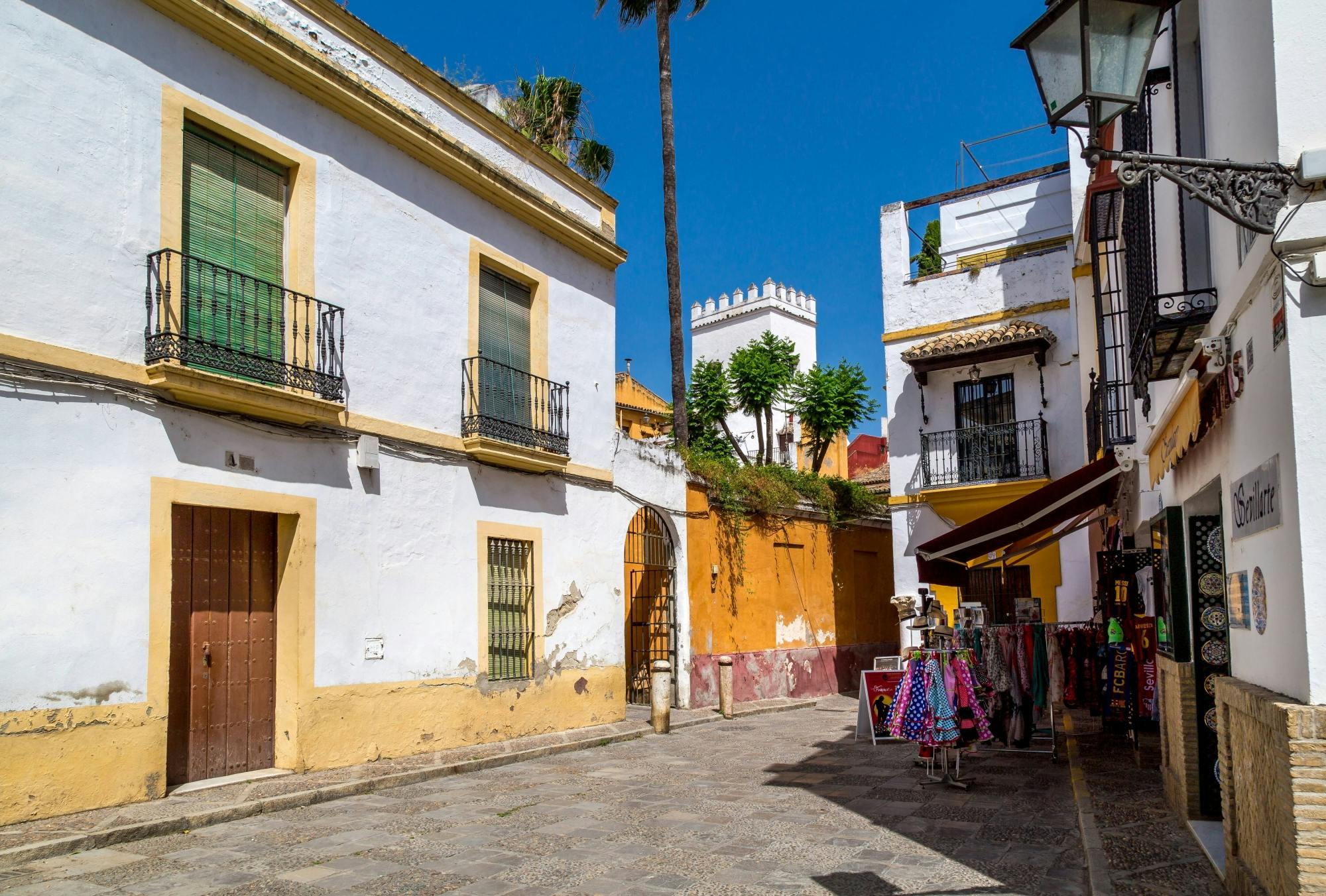 Seville City Visit with Shopping Time