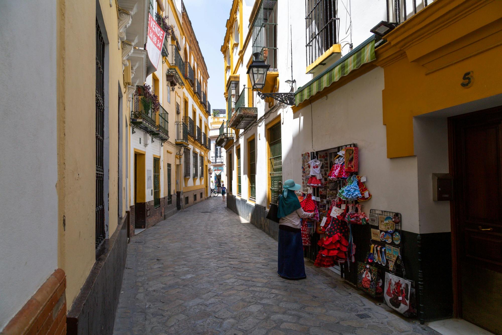 Seville City Visit with Shopping Time