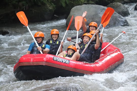 Rafting no rio Ayung com coleta em Bali