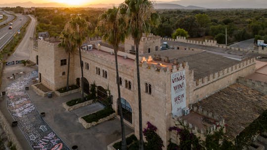 Private bodega tour with wine tasting and tapas in Algaida