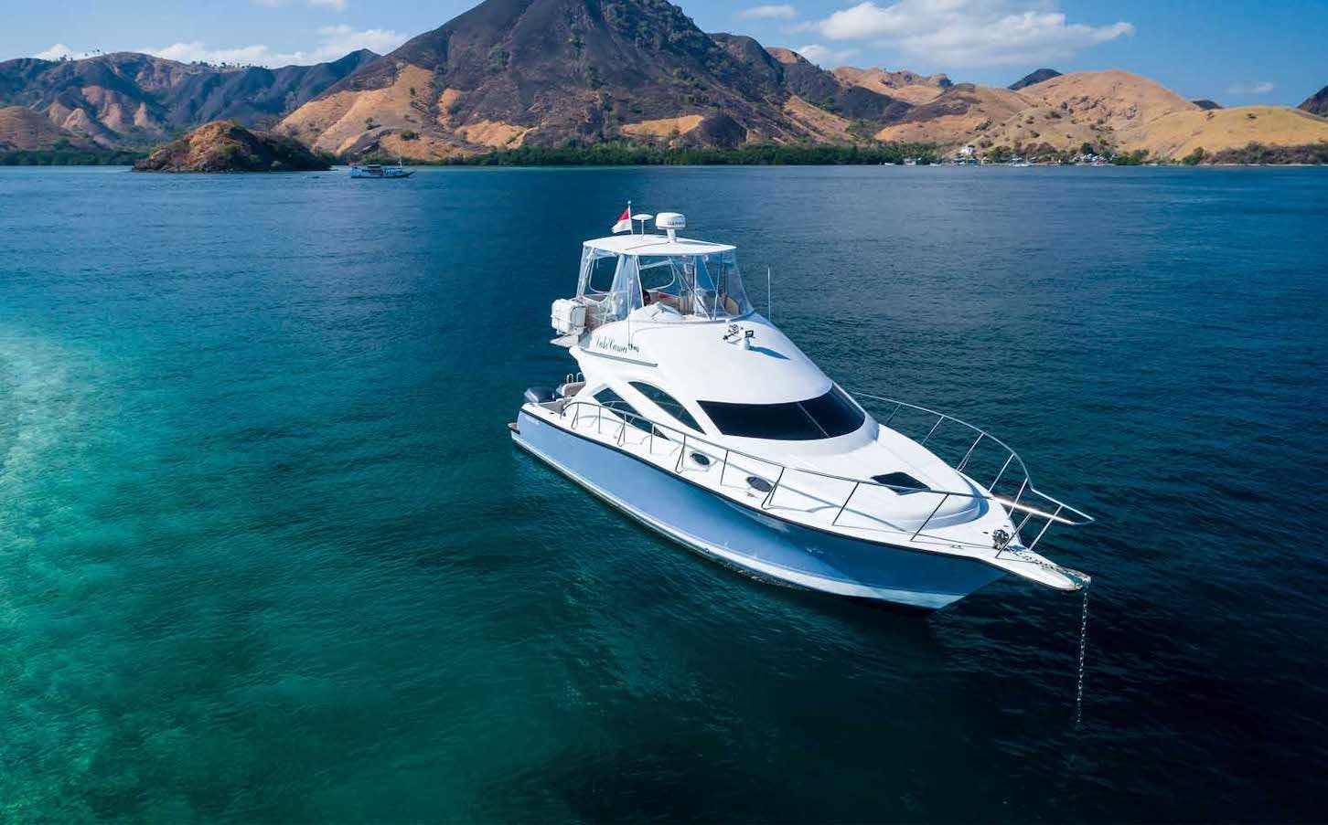 Komodo National Park day tour with snorkelling and wildlife encounters