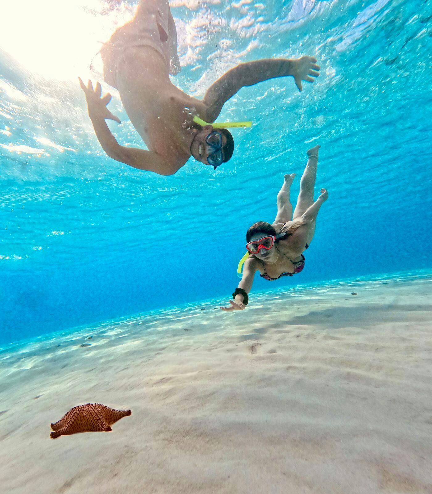 Full-day snorkelling at Cozumel Island