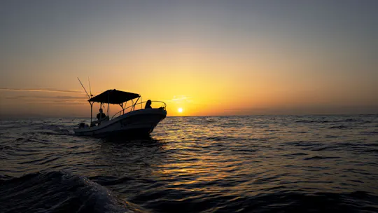 Bootstour am frühen Morgen in Huatulco mit Sichtung der Meereslebewesen