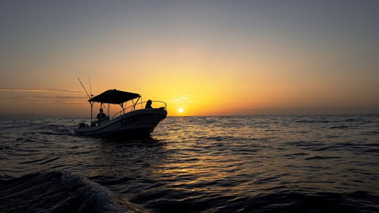 Paseo en barco por la mañana temprano en Huatulco con avistamiento de vida marina