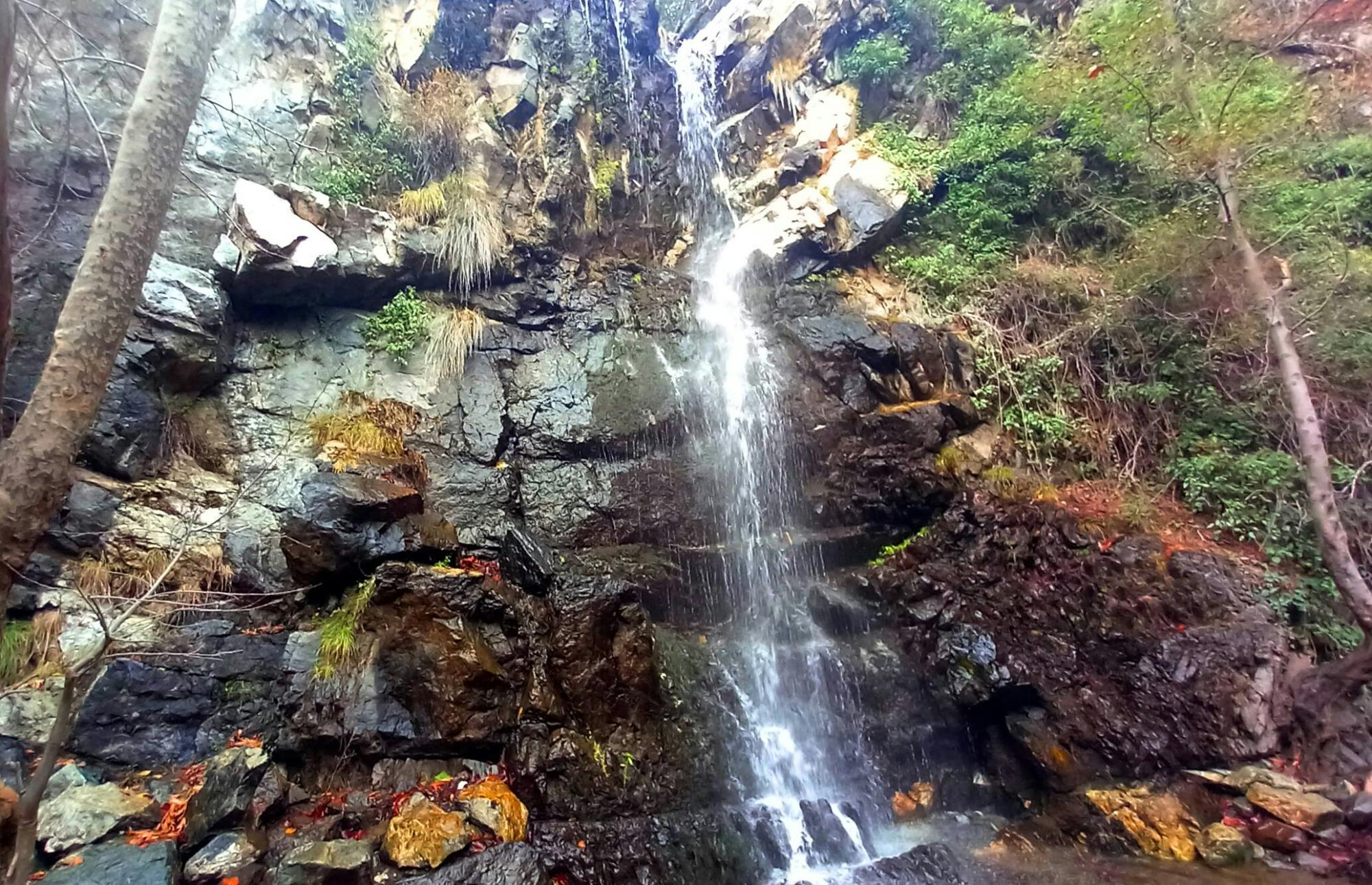 Caledonia Waterfalls Tour with Lunch