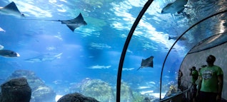 SEA LIFE de Hanôver