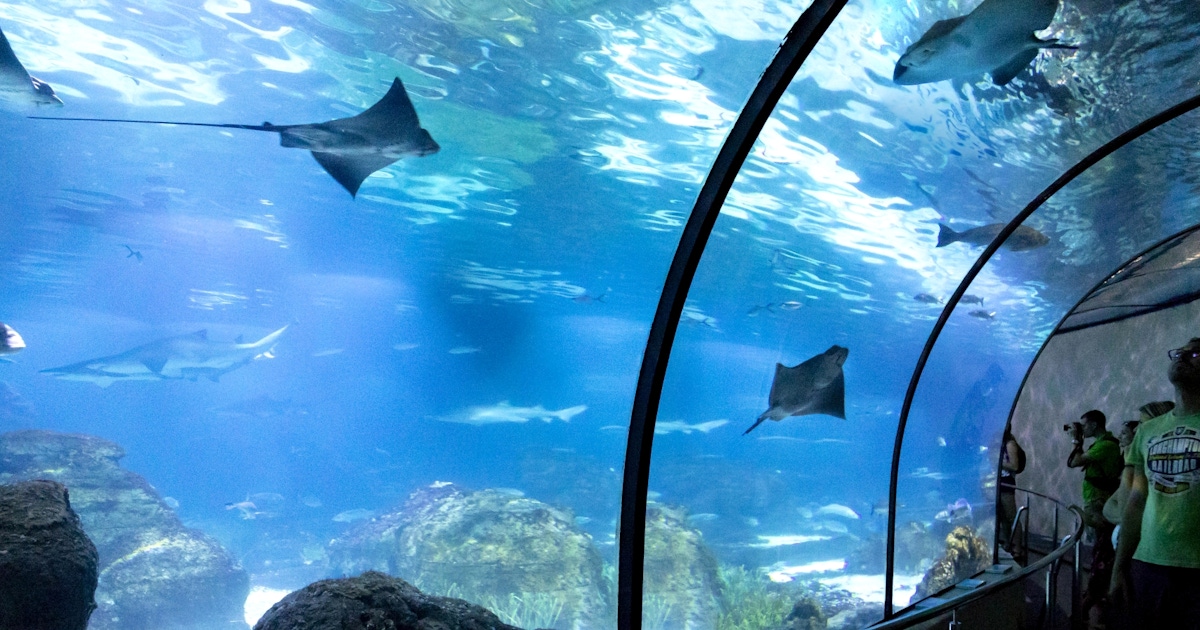 SEA LIFE Hannover SEA LIFE Hannover
