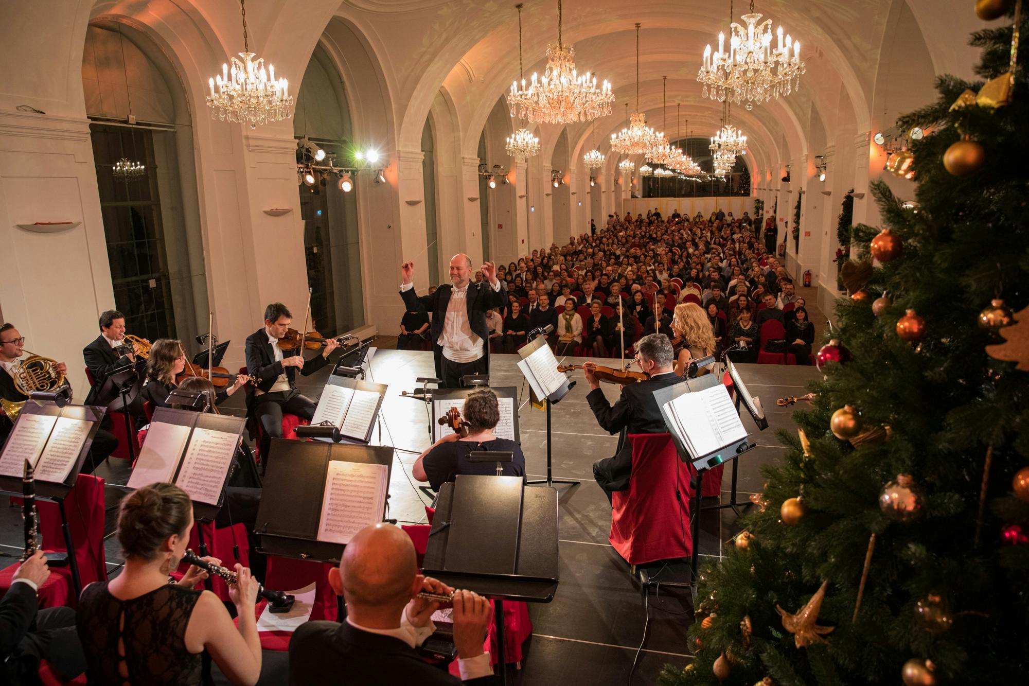 Visita al mercatino di Natale e concerto classico al castello di Schönbrunn